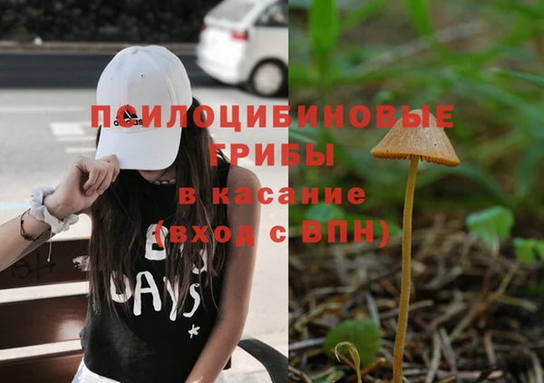 не бодяженный Беломорск