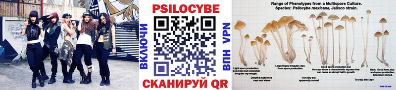 Галлюциногенные грибы Cubensis  как найти закладки  Кушва 