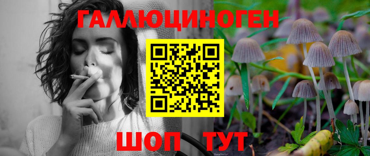 Псилоцибиновые грибы мицелий Кушва